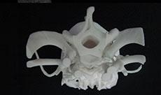 醫(yī)療產(chǎn)品